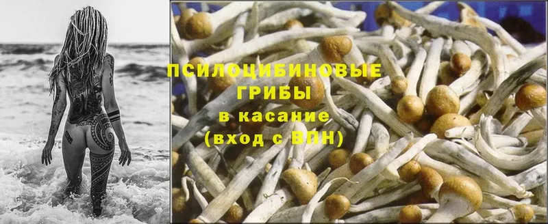 МЕГА онион  Уссурийск  Псилоцибиновые грибы Magic Shrooms 